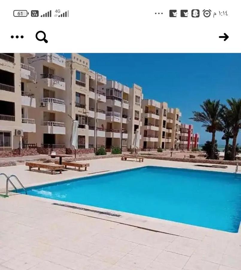 شاليهات للإيجار في الاحياء *